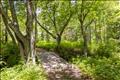 Trail to your private deeded beach.