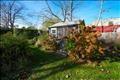 Shed and gardens