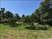 Fruit Tree Orchard