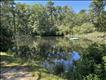 Swimming Pond
