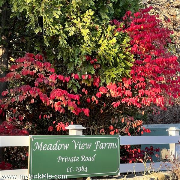 Meadow View Farms