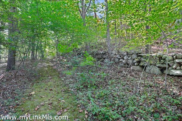 Path from main house to guest house
