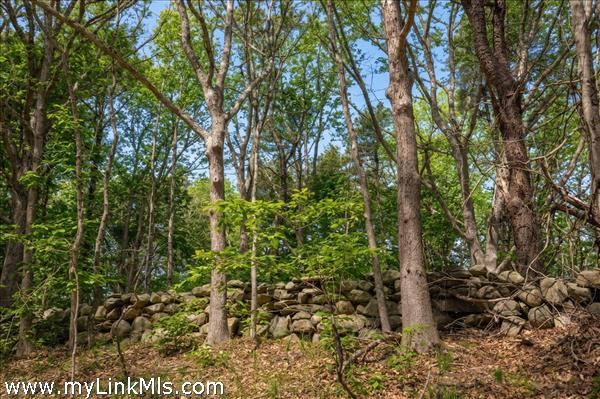 Gently sloping land with 4.4 generous acres