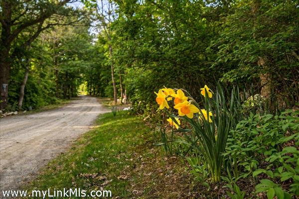 A quiet country road