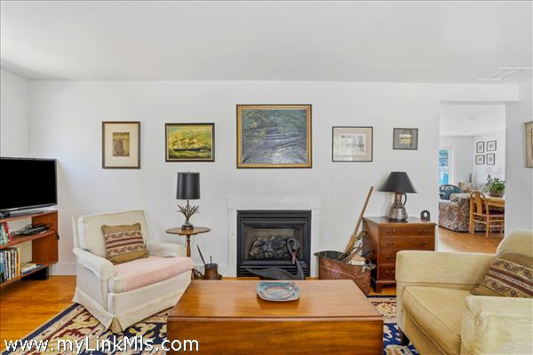 ADU Propane Fireplace