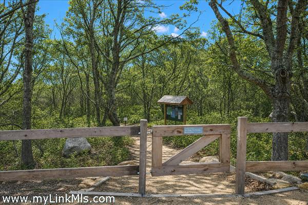 Trail from parking area to the beach.