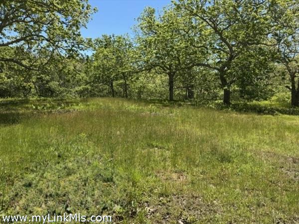 Meadow views