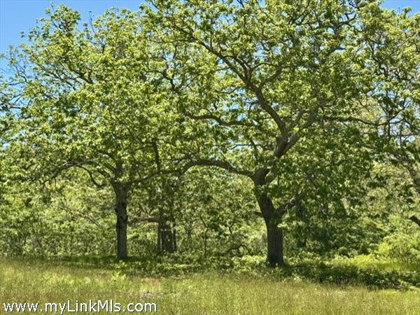 Beautiful 3 acre parcel