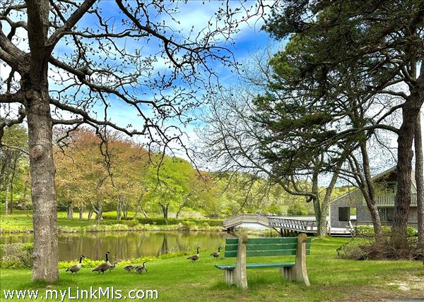 Relax by the pond.