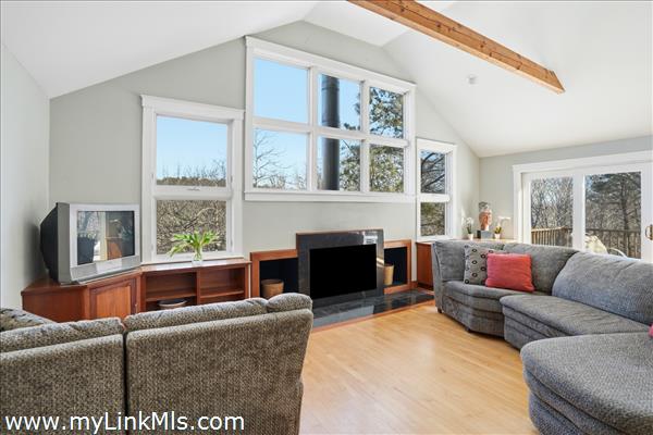 Amazing wall of windows letting in abundant light custom built-in cabinets and high vaulted ceiling