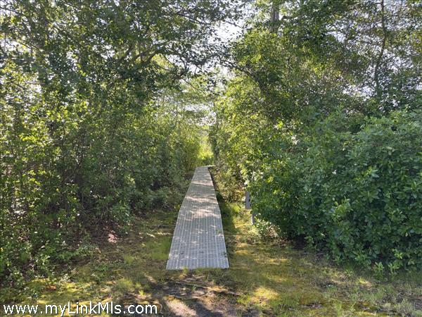 common pathway through the peaceful salt marshes