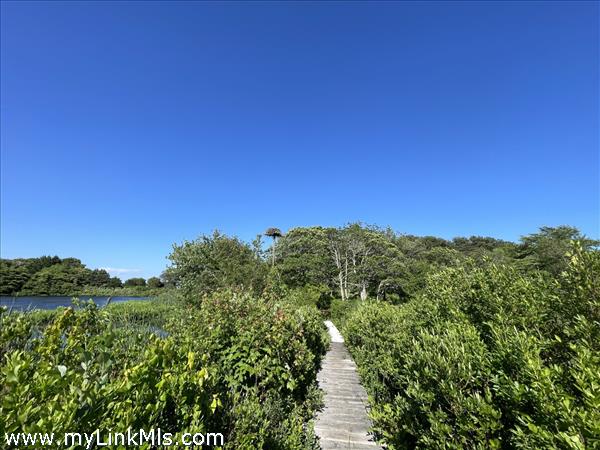 beautiful maintained walkways throughout neighborhood