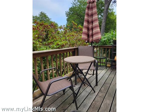 back outdoor deck _there's also a deck off family room)