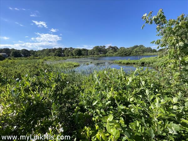 maintained walkways provide water views over salt water marshes