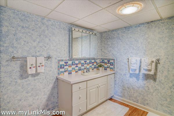 Lower level bathroom.