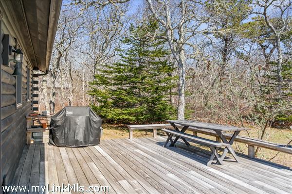 Guest house back deck with room to grill and gather. Walkway to large basement with pool table and cedar closet storage and custom outdoor shower