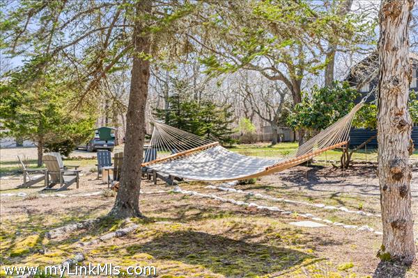 A peaceful spot for a hammock
