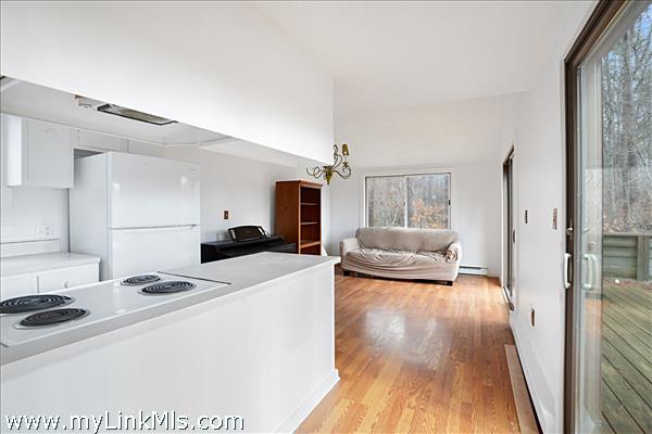 Kitchen / Dining / Living Room