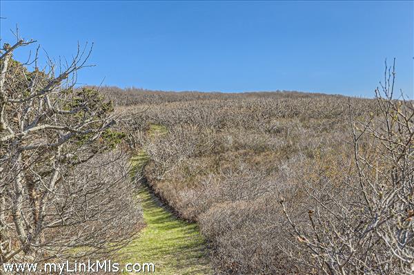 Bluff Path to Great Rock Bight Cove