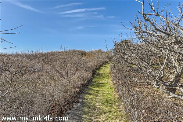 Bluff Path to Spring Point Beach