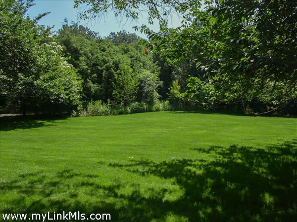 Beautiful front yard
