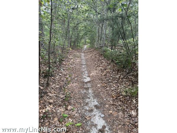 Hiking & bike trails off of Tiffany Drive and Tiffany Lane through 292 acres of the Southern Woodlands.