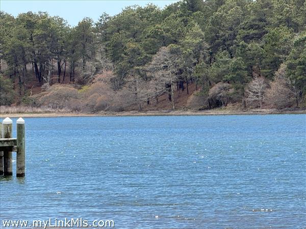 Oyster pond