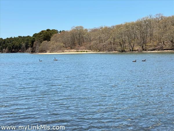 Oyster Pond