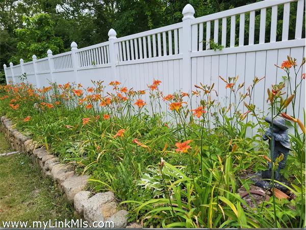 Backyard landscaping
