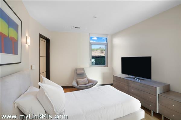 Lower level bedroom suite