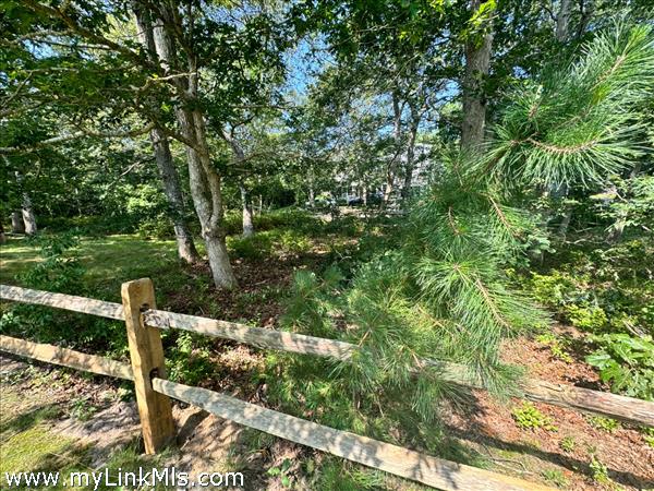From Rear Fence