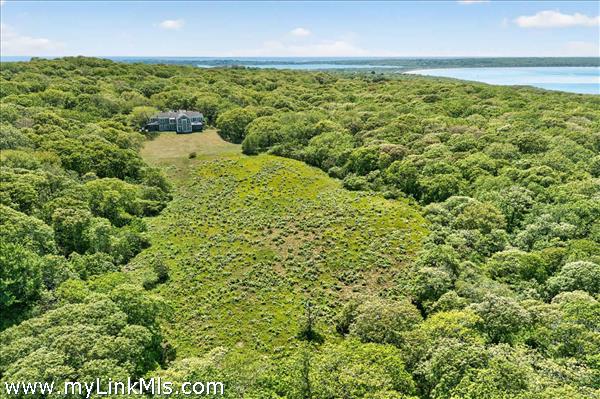 Aerial view showcasing the home nestled in lush privacy with sweeping waterviews of the Vineyard Sound