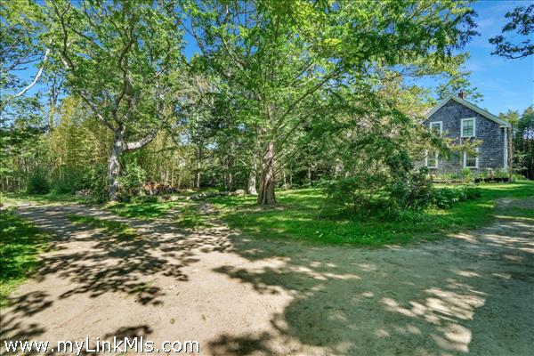 Driveway to house on the right and land to the left