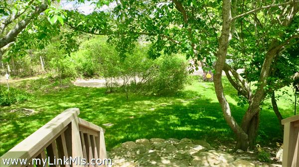 front yard