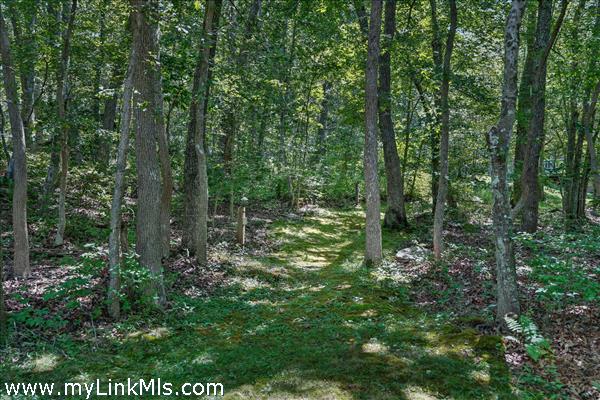 Path to Guest house