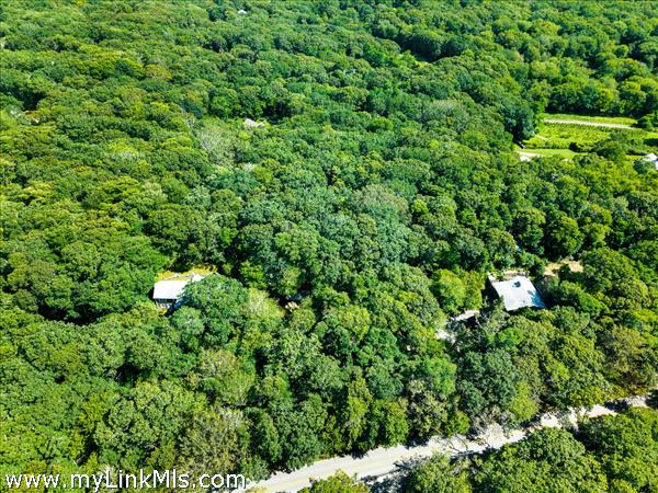 Aerial, house/guest house visible