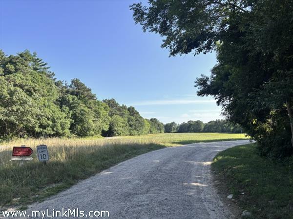 Pastoral Road to the Home