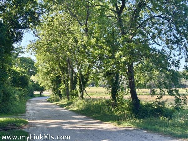 Field View Lane approach to home