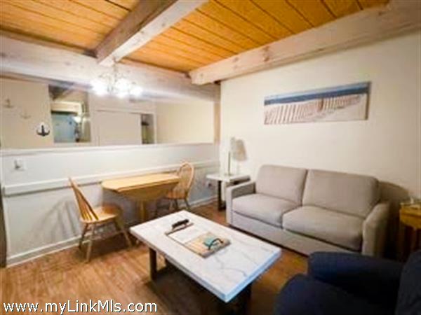 dining and new pullout couch