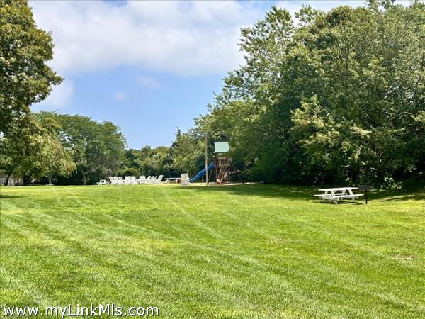 Expansive lawn with picnic table and grills
