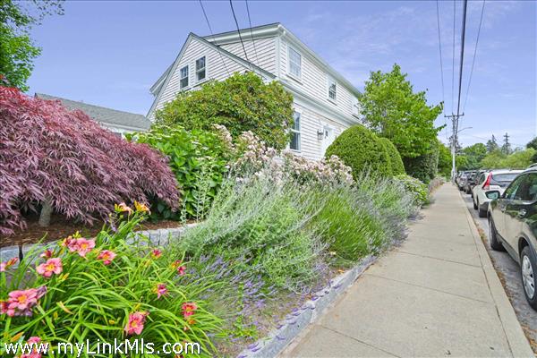 Sidewalk Garden