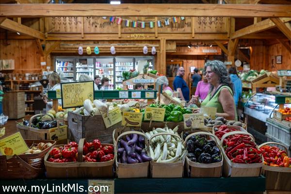 Morning Glory Farm