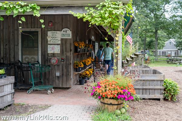 Morning Glory Farm