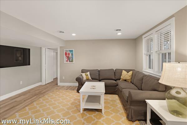 Lower level living area