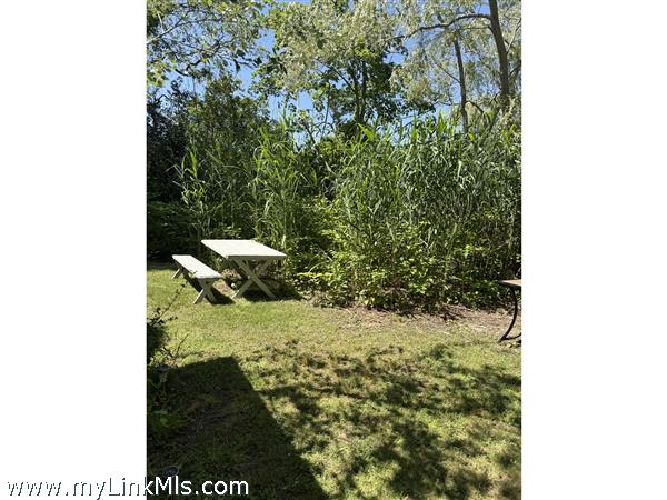 More yard