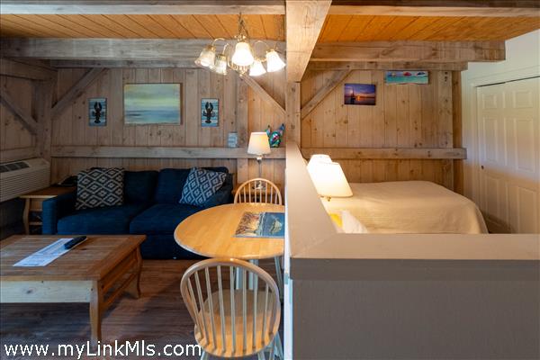 living room/sleeping accommodations for two