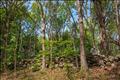 Gently sloping land with 4.4 generous acres