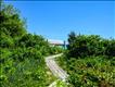 Private path to beach