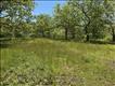 Meadow views