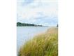 Chilmark Pond